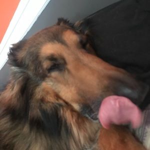 Meet your Posher, Jacob